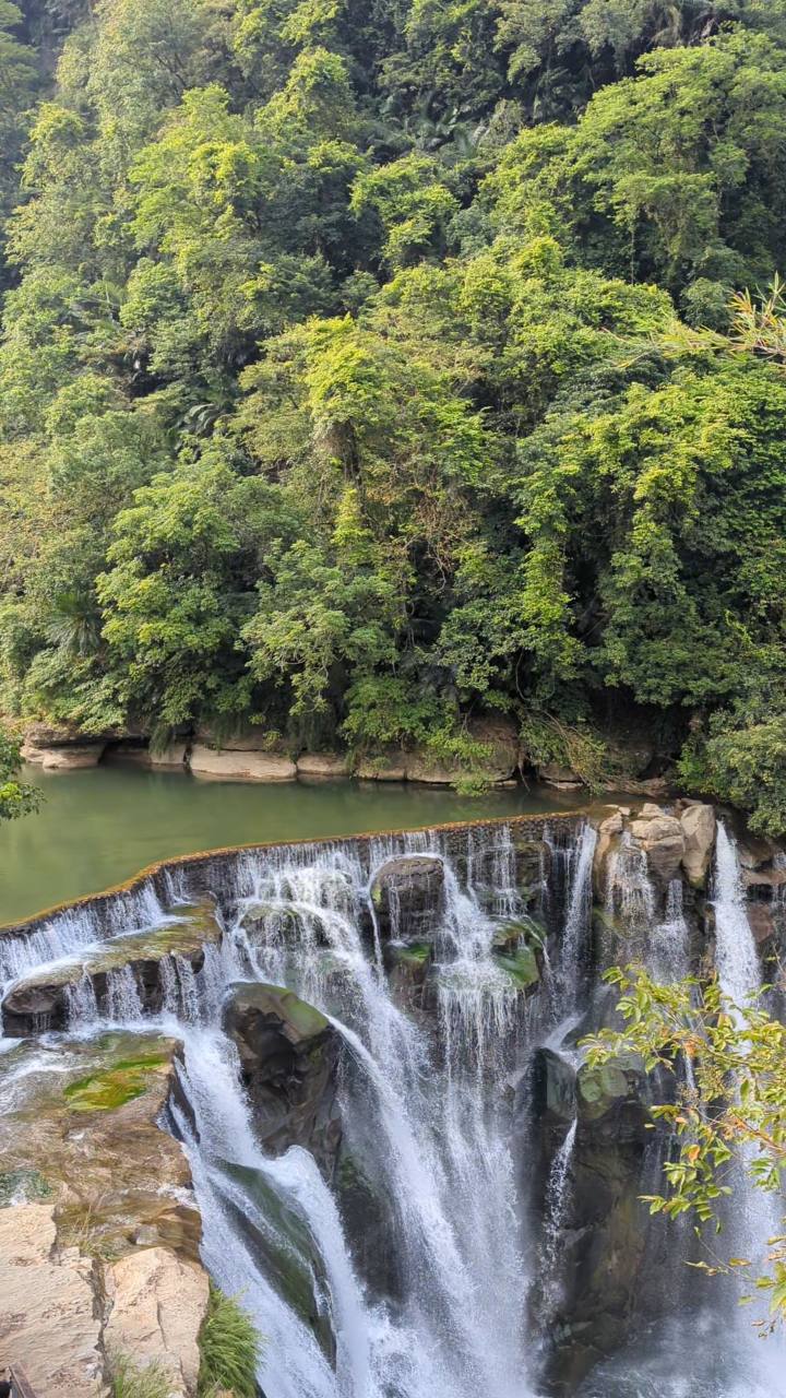 Foto air terjun dan pepohonan, sebagai gambar contoh proyek jurnal perjalanan.